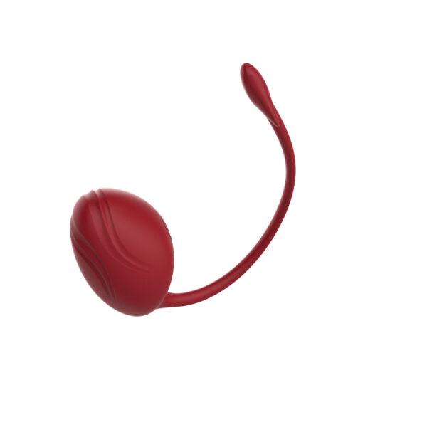 ESTIMULADOR PONTO G E CLITÓRIS COM CONTROLE POR APLICATIVO SUCCUBUS - Imagem 2